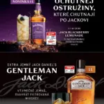 Strana 28