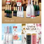 Strana 42