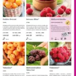 Strana 135