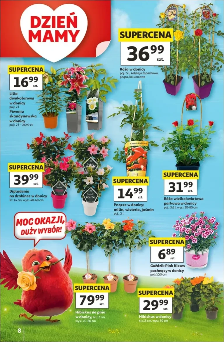 Akční leták Hipermarket Auchan Polsko platný od 21.05.2026 - strana 8