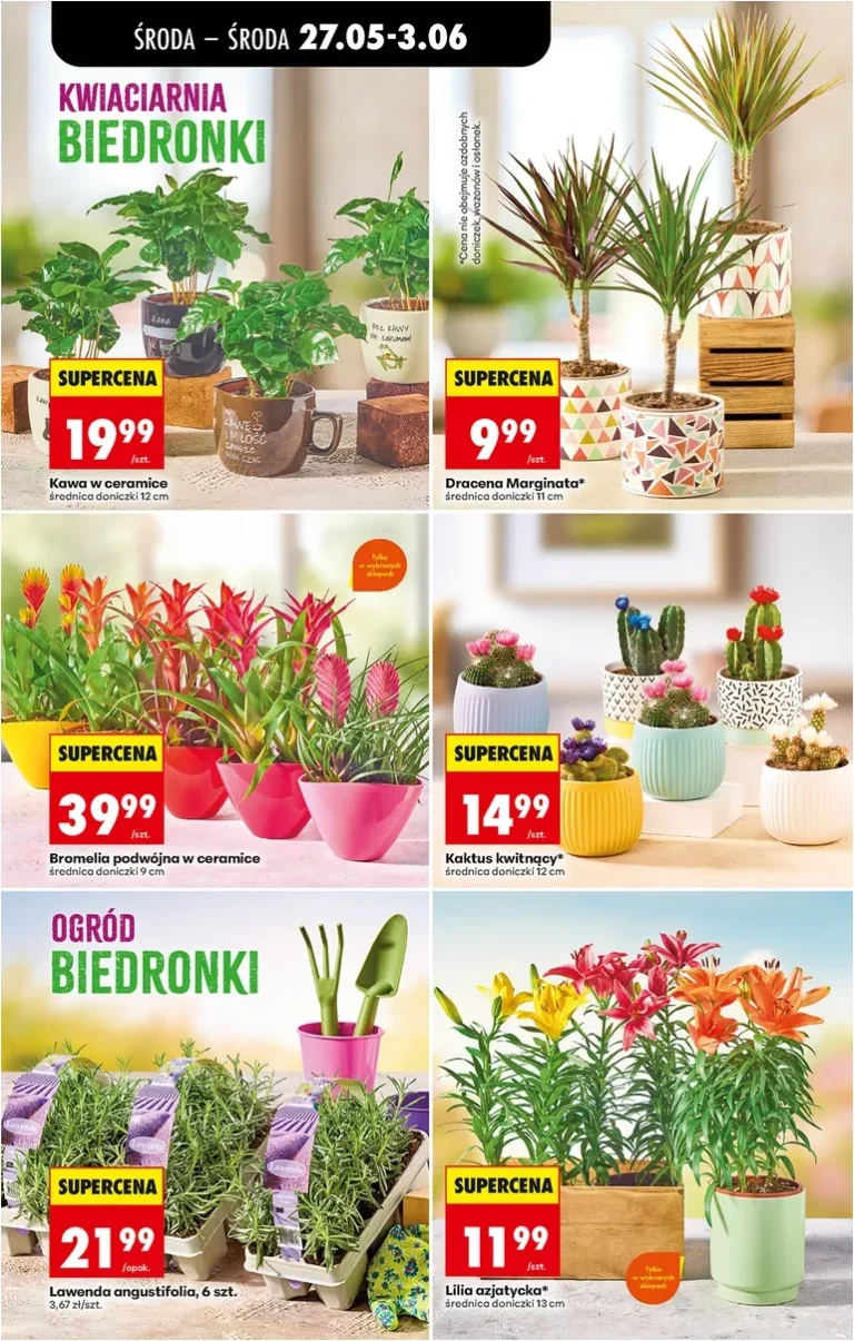 Akční leták Biedronka – Codziennie niskie ceny P – oferta od 27.05 – Gazetka – Biedronka.pl platný od 27.05.2026 - strana 29