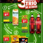 Strana 1