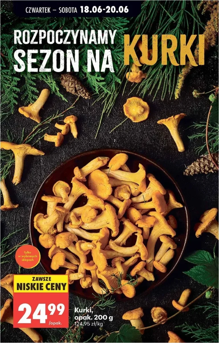 Akční leták Biedronka platný od 18.06.2026 - strana 69