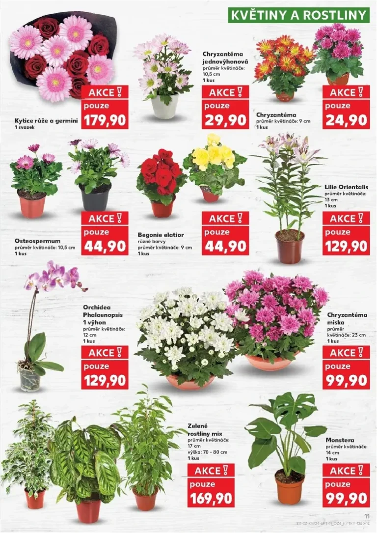 Nejnovější Kaufland – Kolín leták platný od 10.06.2026 ⭐ - strana 11