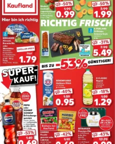 Nejnovější Kaufland Německo leták platný od 11.06.2026 ⭐