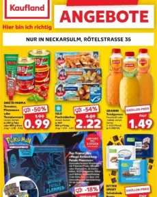 Nejnovější Kaufland Německo – Neckarsulm leták platný od 11.06.2026 ⭐