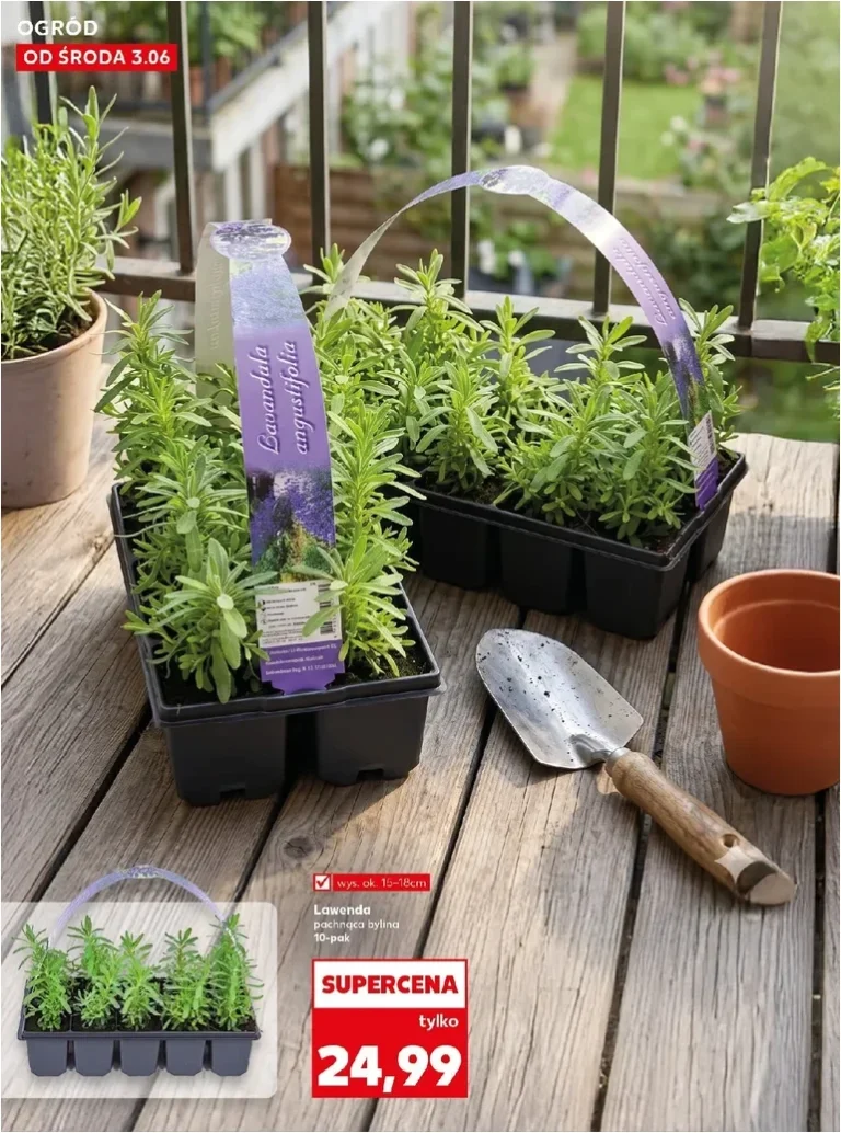 Akční leták Kaufland Polsko – Zahrada platný od 03.06.2026 - strana 10