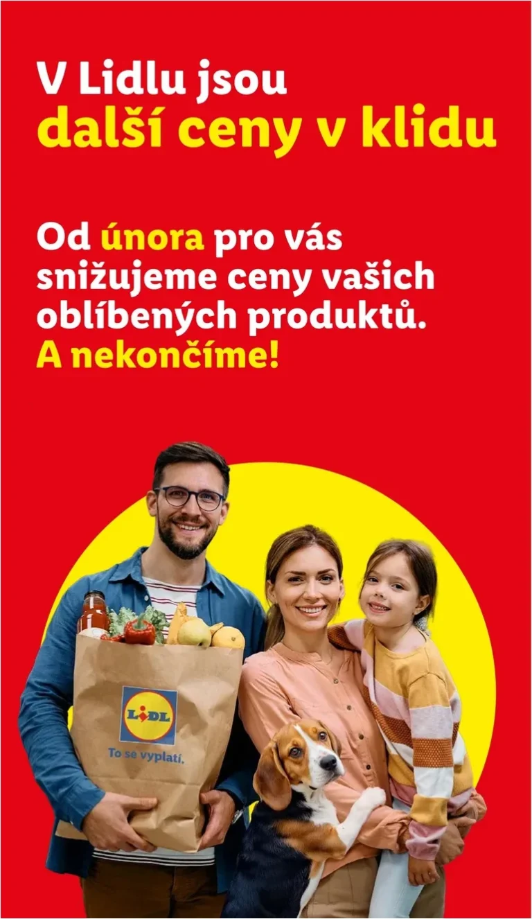 Nejnovější Lidl leták platný od 11.06.2026 ⭐ - strana 3