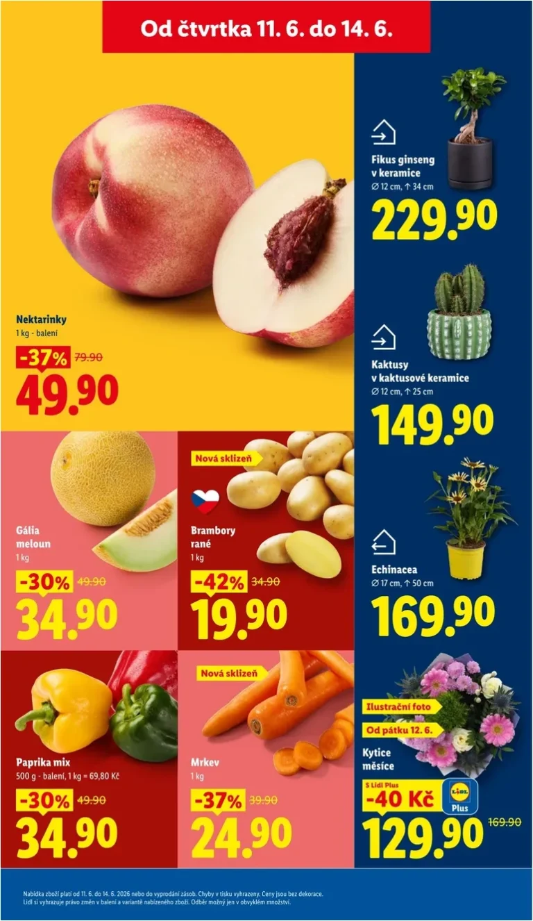 Nejnovější Lidl leták platný od 11.06.2026 ⭐ - strana 13