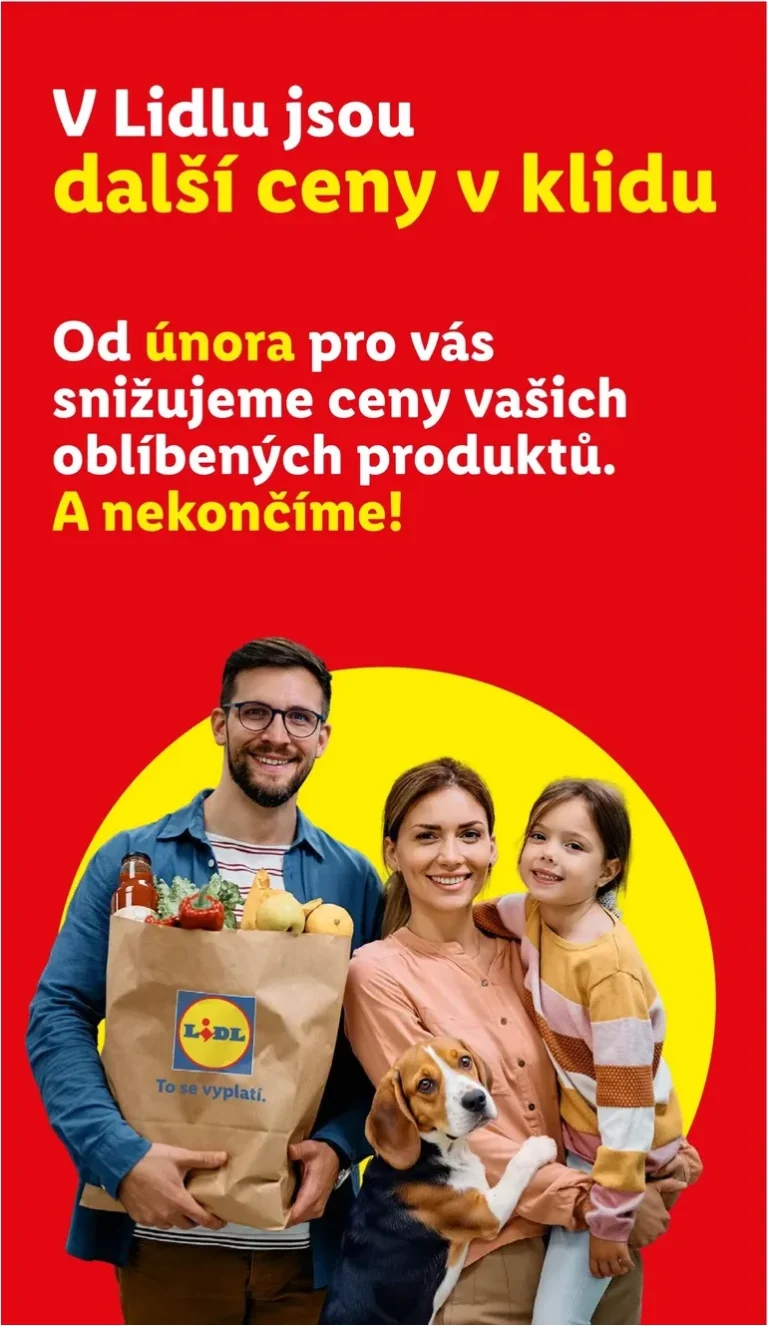 Akční leták Lidl platný od 18.06.2026 - strana 3