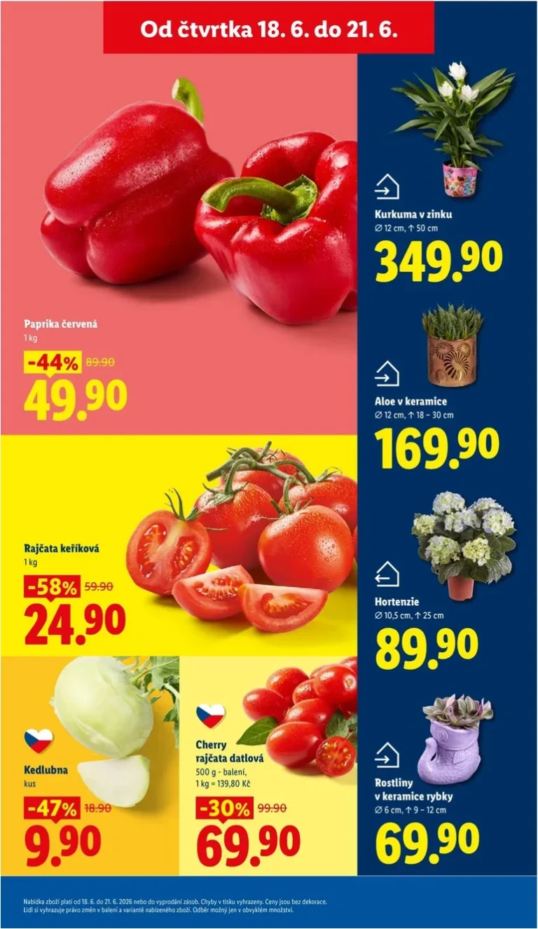 Akční leták Lidl platný od 18.06.2026 - strana 15