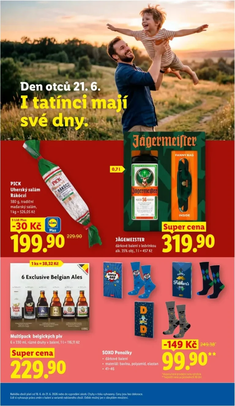Akční leták Lidl platný od 18.06.2026 - strana 31