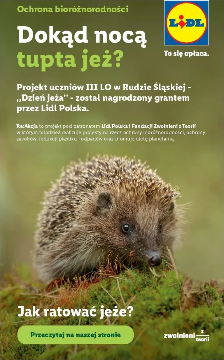 Akční leták Lidl Polsko platný od 08.06.2026 - strana 88